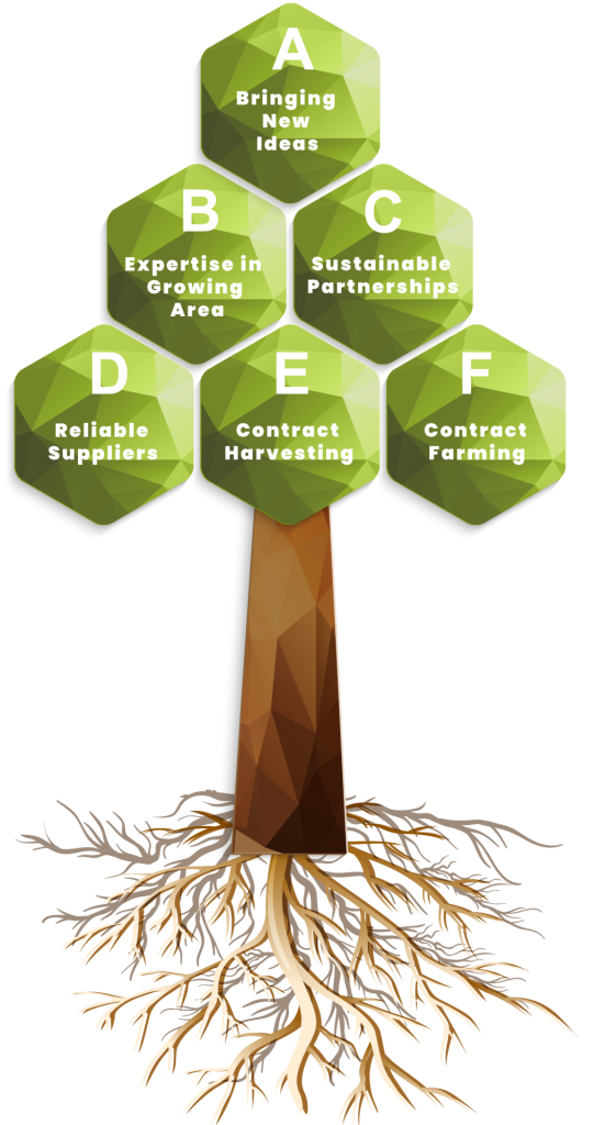 TreeRoots - Certified international supplier of quality organic foods and natural ingredients across Europe, North Africa, the Orient, Turkey, and the USA. Natural Fruit